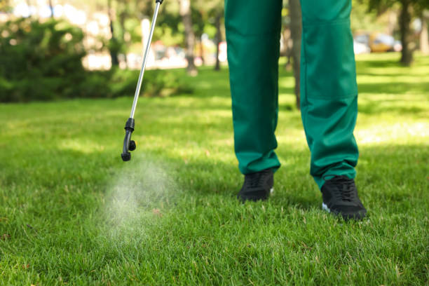 Best Best Pest Control Companies  in Tehachapi, CA