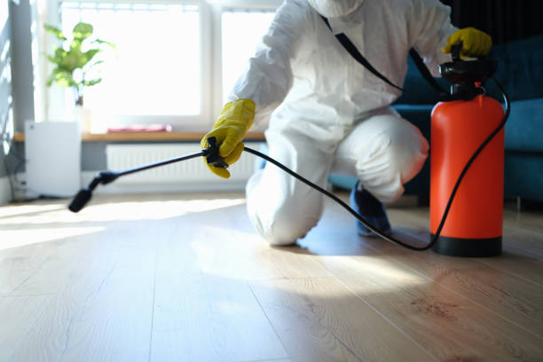 Insect Control in Tehachapi, CA