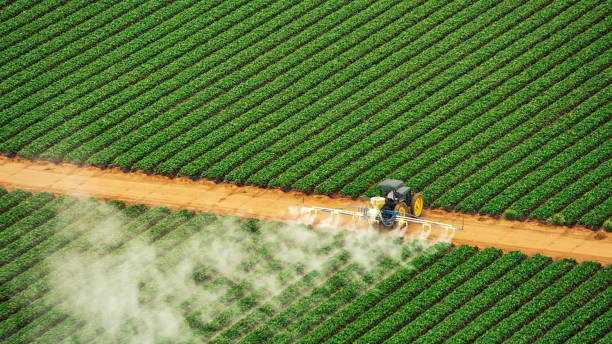 Professional Pest Control in Tehachapi, CA