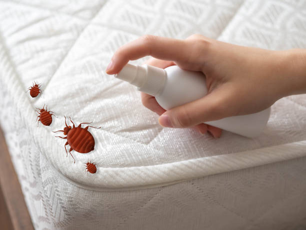 Best Best Pest Control Companies  in Tehachapi, CA